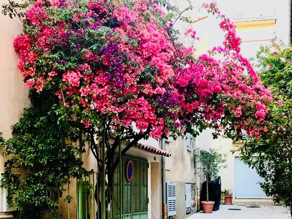 Le Caillou A La Ponche St Tropez Apartment Saint-Tropez Luaran gambar